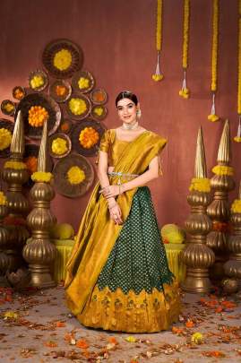 Boutique collection saree