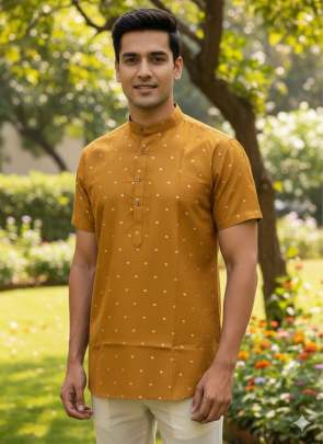 Casual Wear Kurta Men