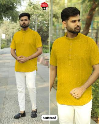 Designer Chikan Kurta Men