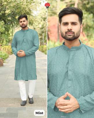 Office Wear Traditional Chikan Work Kurta