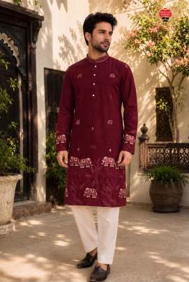 Navratri, weddings, festive celebrations, traditional functions, family gatherings, and cultural events