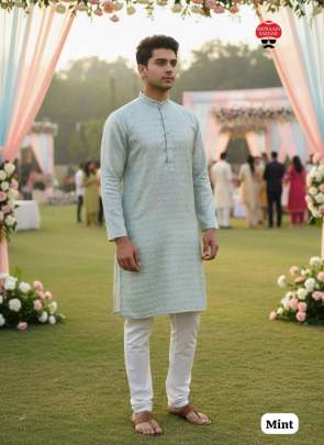 function wear men kurta