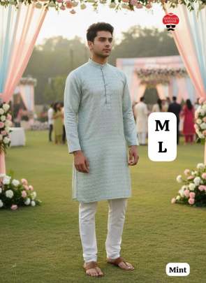function wear men kurta